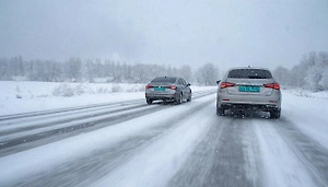 «Выброшенные деньги»: Автоэксперт раскритиковал идею цветных номеров для машин