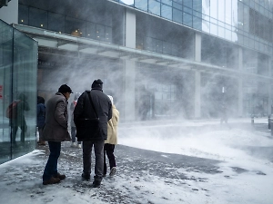 Пустые полки вместо игр в снежки: Мигранты из России показали, как американцы переживают морозы