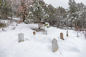 Возле психоневрологического интерната в Прокопьевске нашли тайные могилы пациентов
