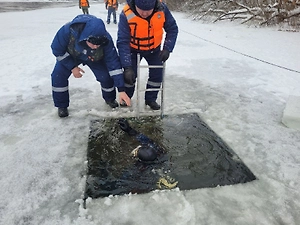 Спасатели пробурили 2,5 тыс. лунок на Десне при поиске детей в Брянске 