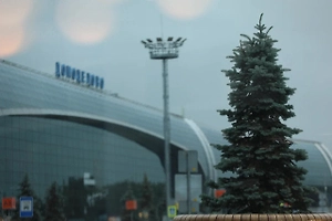 Совладелец Внуково Ванцев заявил об участии в аукционе по продаже Домодедово