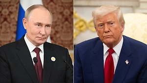 Песков оценил возможность встречи Путина и Трампа после слов лидера РФ о Гренландии