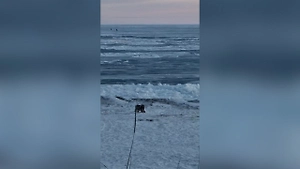 На Сахалине двоих рыбаков на льдине оторвало от берега и уносит в Охотское море