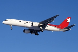 Попадание птицы в двигатель могло стать причиной экстренной посадки рейса Пхукет – Барнаул