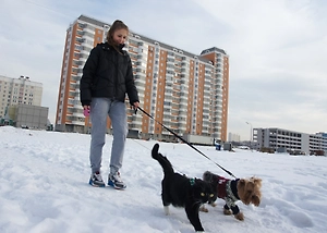 Догхантеры облюбовали новый район в Москве — уже семь погибших хвостиков