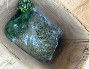 Дилеры пытались провезти в Дагестан почти 130 кг марихуаны в коробке с укропом