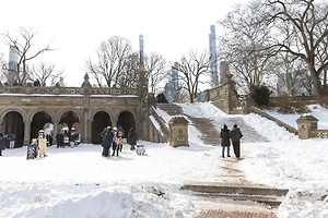 Снежная буря в США унесла 85 жизней, десятки тысяч домов остаются без света