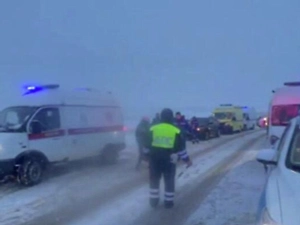 Число пострадавших в ДТП в Тульской области возросло до 14 человек