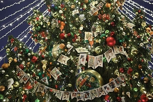 Когда праздник кончился: Life.ru узнал, кем работают продавцы ёлок после Нового года