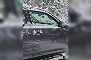 В Ленинградской области охотник принял машину за лося и застрелил пассажира