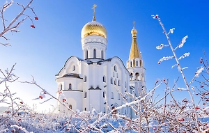 Христианам напомнили о запретах на Рождество 7 января 2026 года