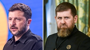 «Всех от тебя уже тошнит»: Японцы призвали похитить Зеленского после слов о Кадырове