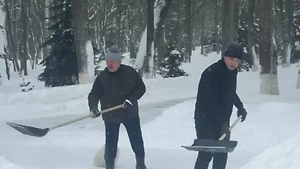 «Вместо обеда»: Лукашенко с сыном Николаем и шпицем Умкой вышли на уборку снега — видео