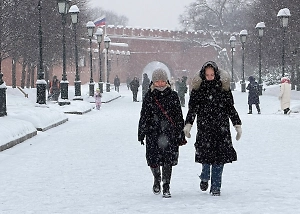 Зима не сдаётся: Москвичей предупредили о пике похолодания