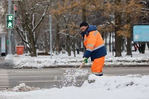 Мошенники стали обманывать россиян под предлогом помощи в уборке снега
