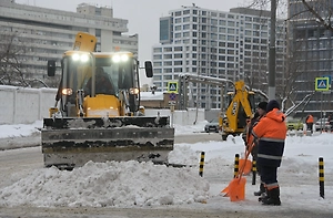 Онищенко призвал устроить показательную порку сферы ЖКХ из-за снежных травм россиян