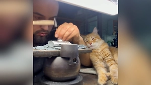 Ювелир из Дагестана набирает миллионы лайков благодаря пушистому помощнику