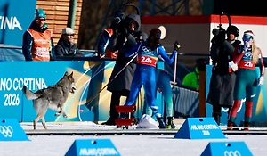 Собака выбежала на трассу во время олимпийского спринта в Италии и попала в фотофиниш