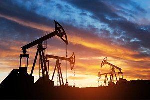 В Госдуме оценили последствия отказа Индии от российской нефти