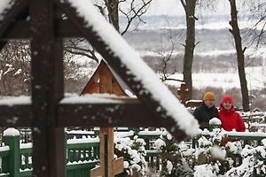Зимой с кладбища можно занести домой «некротическую энергию», предупредила парапсихолог