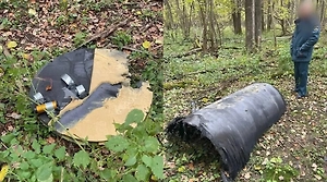 Пять распиаренных «‎Фламинго» ВСУ сбиты на подлёте к целям