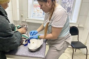 Бабушка случайно постирала кота в машинке и достала почти мёртвым