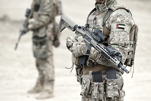 Минобороны ОАЭ отчиталось об уничтожении более 500 дронов и 150 ракет Ирана