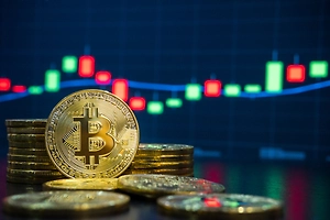 Причиной падения биткоина назвали возможное назначение Уорша главой ФРС США