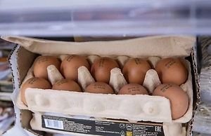 Минсельхоз успокоил россиян насчёт роста оптовых цен на яйца
