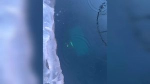 МВД опубликовало первое фото утонувшей в Байкале «буханки» с туристами из КНР