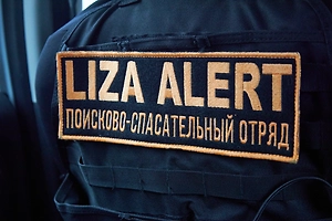 В «ЛизаАлерт» назвали самостоятельный поиск главной ошибкой при пропаже ребёнка