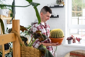 Не заводите их, если хотите замуж: Список растений-«мужегонов», которые разрушают отношения
