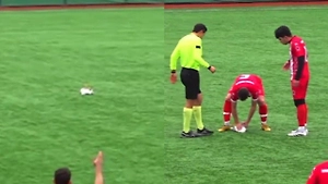 Турецкие футболисты сбили чайку мячом во время матча в Стамбуле