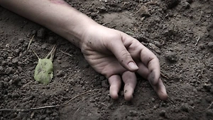 Мирный житель погиб в Брянской области от удара дрона ВСУ