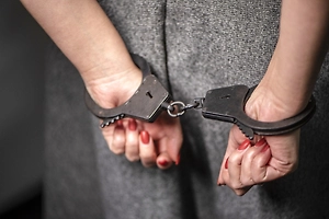 Создательница «Джингликов» получила 3,5 года колонии за хищение 77 млн рублей