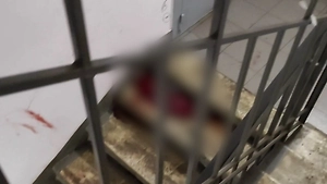 Опубликовано видео из подъезда на Рублёвском шоссе, где произошла перестрелка