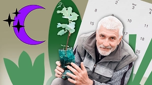 Лунный посевной календарь садовода и огородника на февраль 2026: когда сажать рассаду и готовить почву