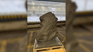 Из России в Британию пытались незаконно вывезти 2 тонны знаменитого метеорита Алетай