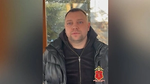 «Сажали помидоры, оказались не они»: В Петергофе накрыли крупную наркоферму