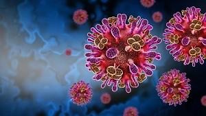 Неизлечимый вирус Нипах убил жительницу Бангладеш