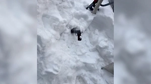 Пистолет в сугроб и аэропорт: ФСБ показала маршрут киллера после покушения на генерала Алексеева