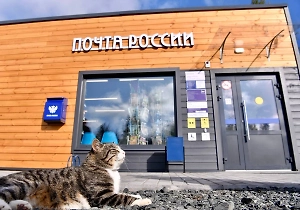 Госдума и правительство объединились для спасения «Почты России»