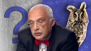 Тест: Ответить на все 8 вопросов из «Что? Где? Когда?» под силу только самым уважаемым знатокам!