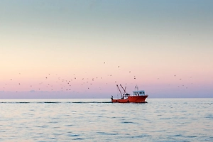 32 российских судна находятся сейчас в зоне конфликта на Ближнем Востоке